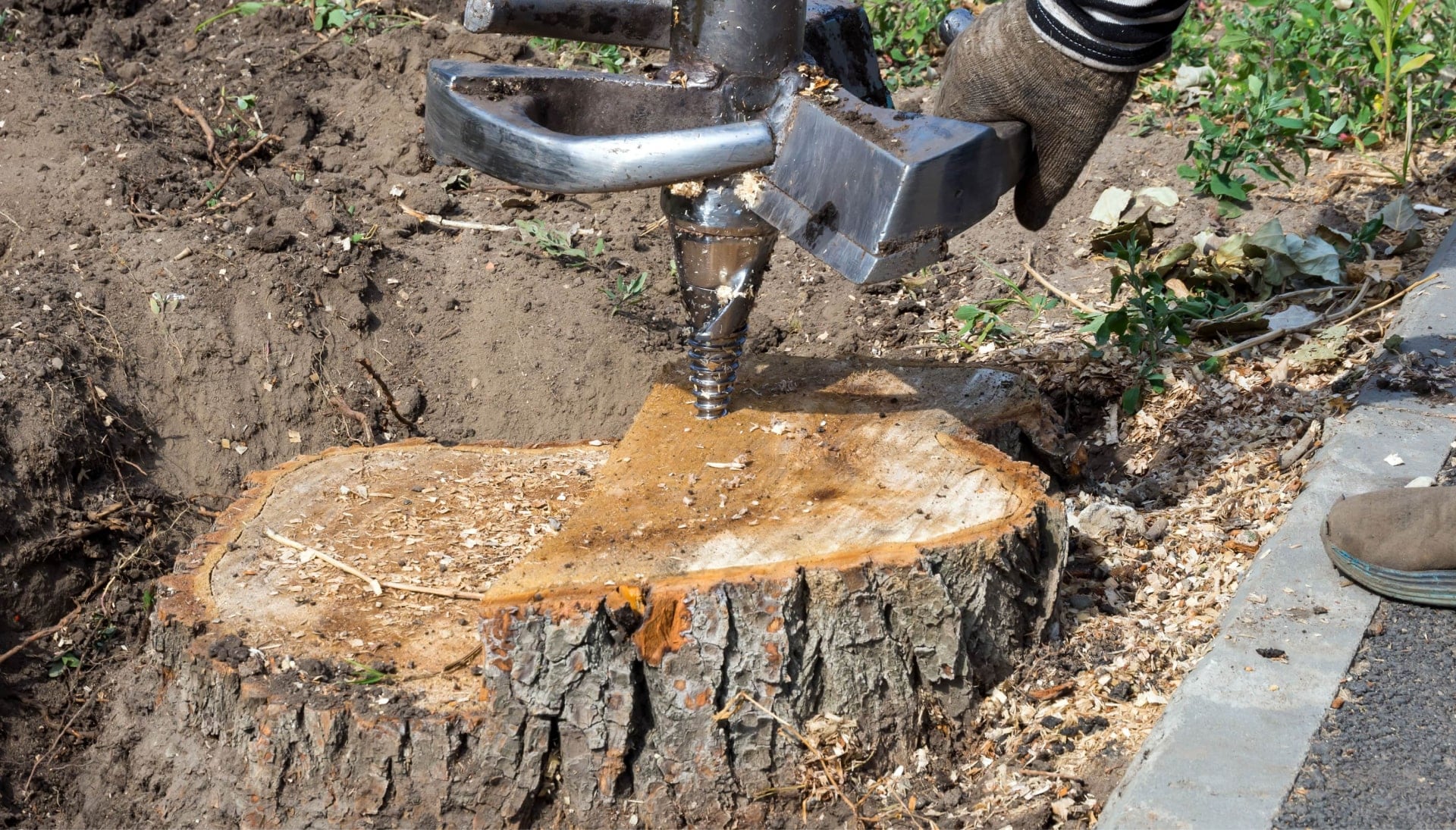 Boston Tree stump removal